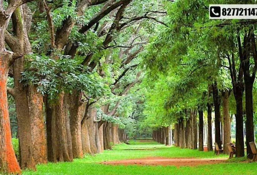 Fotos del hotel Geo:  9