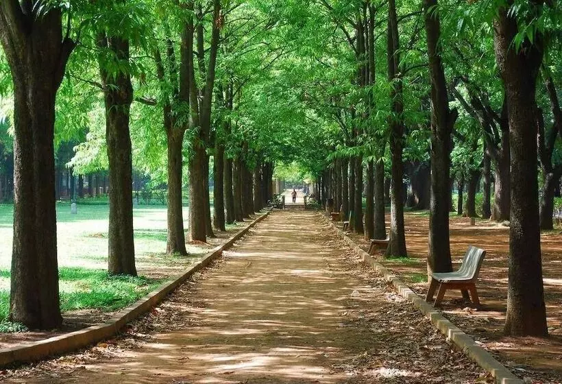 Fotos del hotel Geo:  13