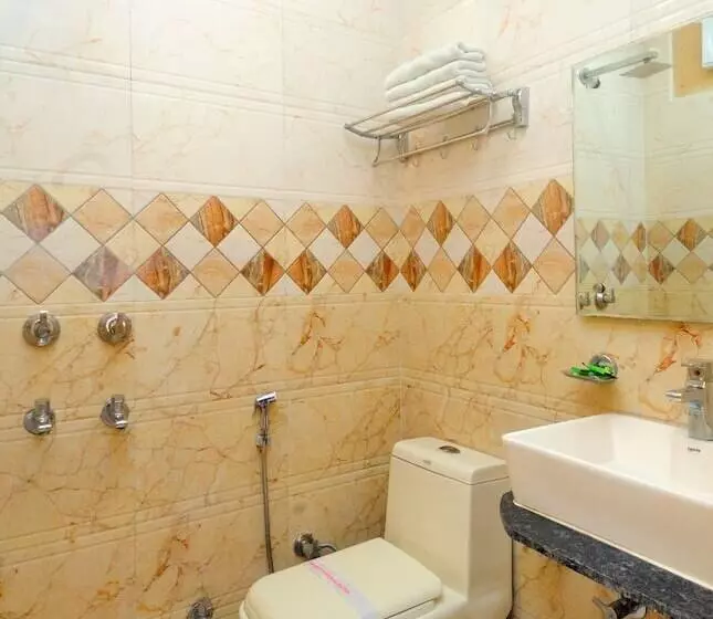 Fotos del hotel Check In Room Rk Ashram:  7