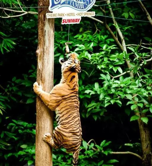 Fotos del hotel Sunway Lost World:  18