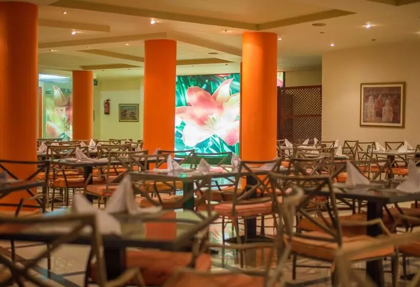 Fotos del hotel Aurora Bay Resort Marsa Alam:  25