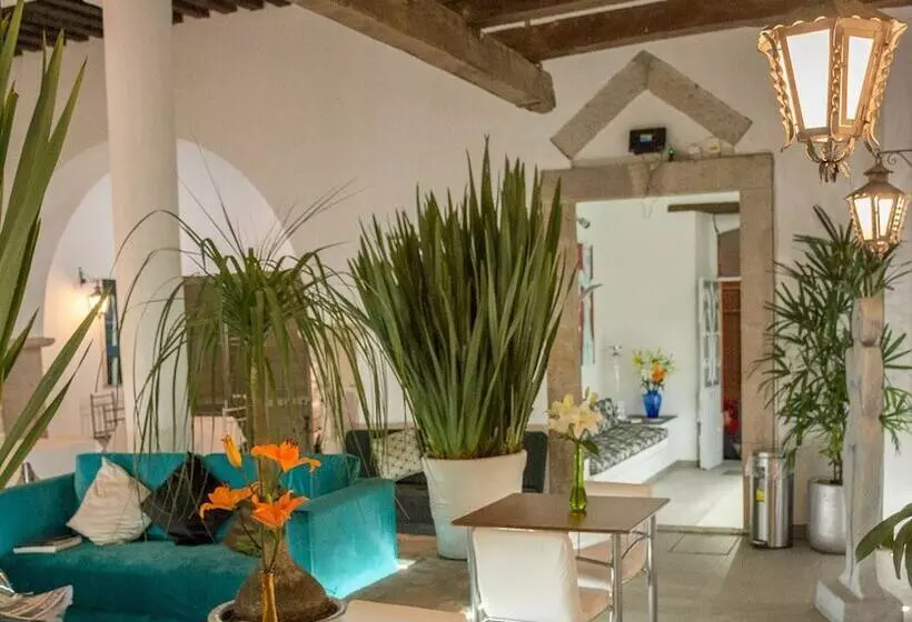 Fotos del hotel M Hoteles Concepto:  18