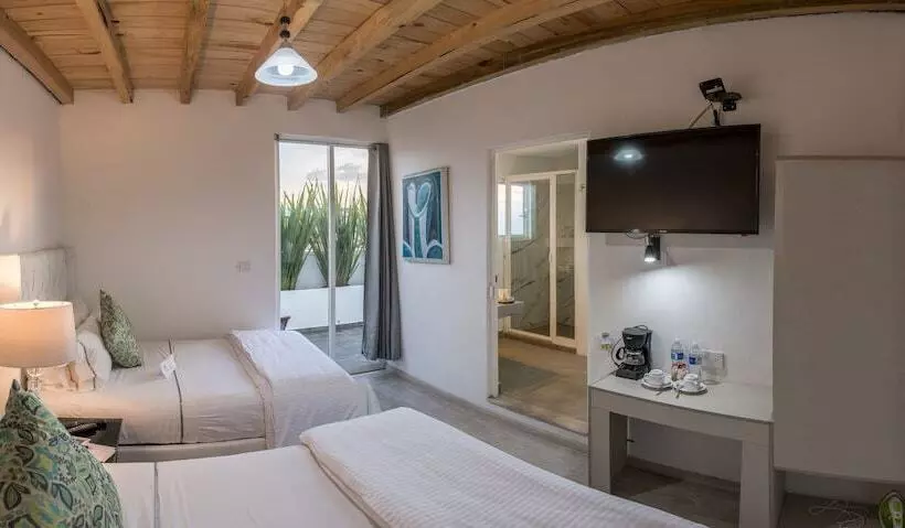 Fotos del hotel M Hoteles Concepto:  19