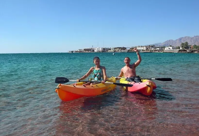 Fotos del hotel Red Sea Relax:  11