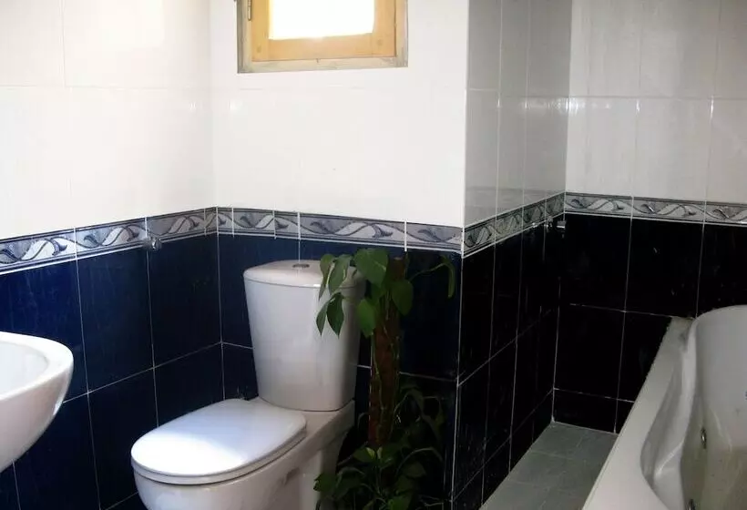 Fotos del hotel Red Sea Relax:  9