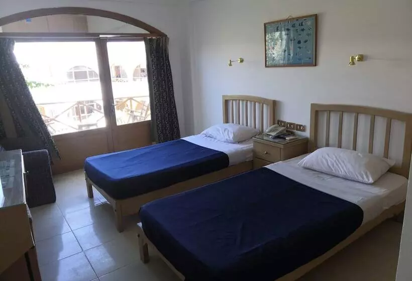 Fotos del hotel Red Sea Relax:  8