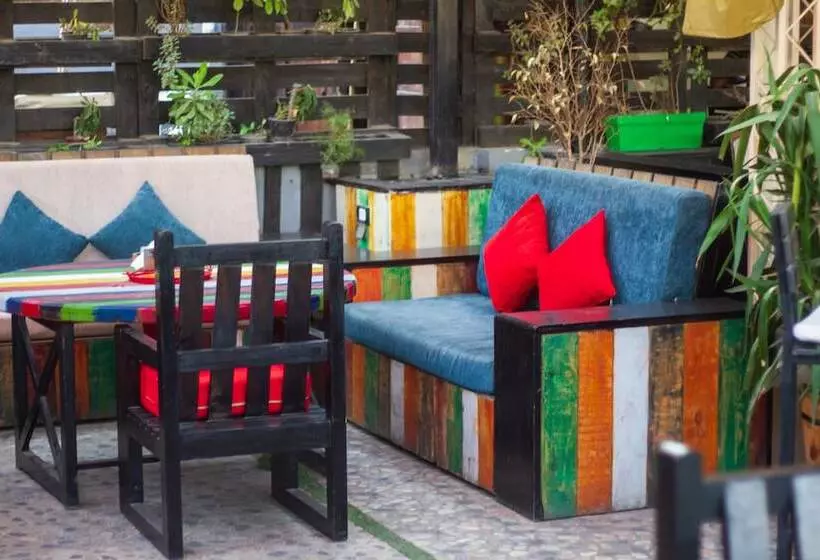 Fotos del hotel Zayed:  5