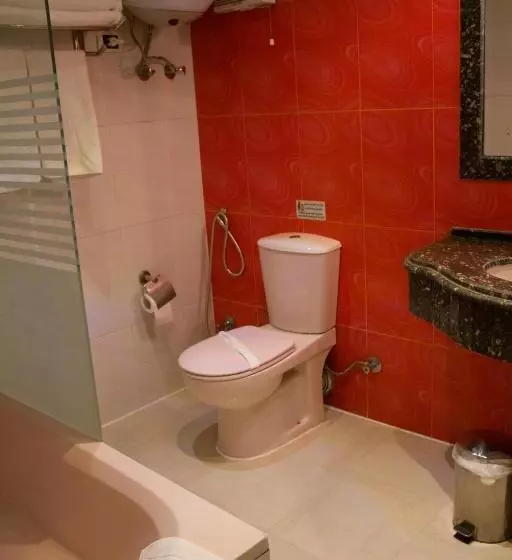 Fotos del hotel Zayed:  22