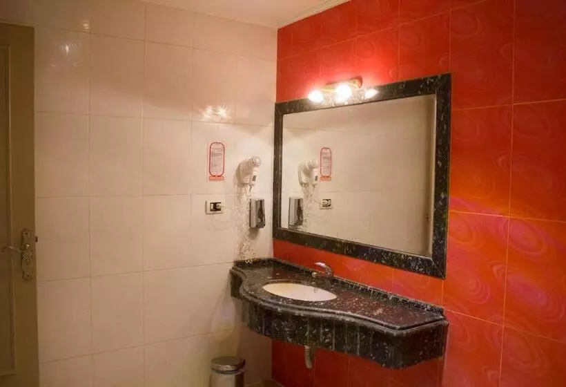 Fotos del hotel Zayed:  19