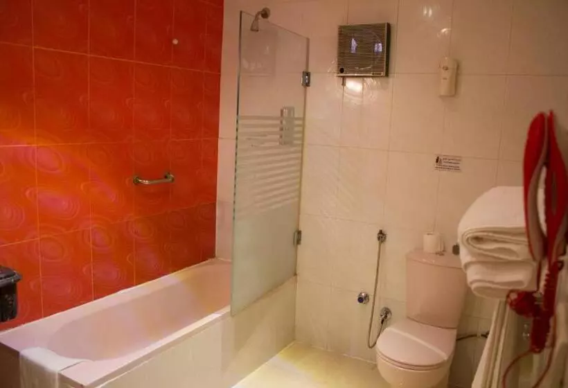 Fotos del hotel Zayed:  6