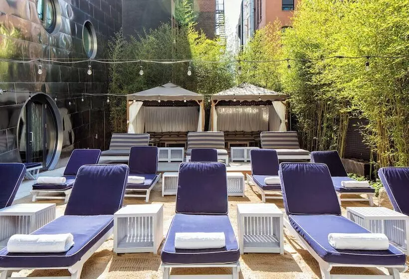 Fotos del hotel Dream Downtown:  22