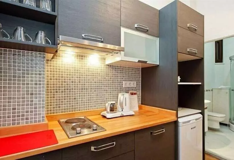 Fotos del hotel Taksim Tulip Residence &:  13