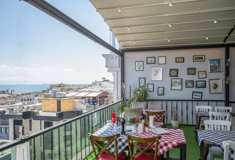 Fotos del hotel Villa Pasha:  8