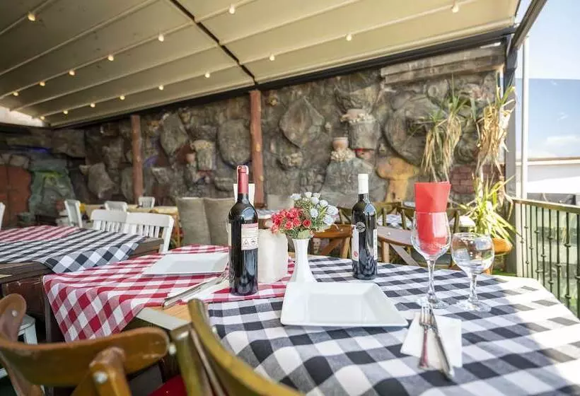 Fotos del hotel Villa Pasha:  10