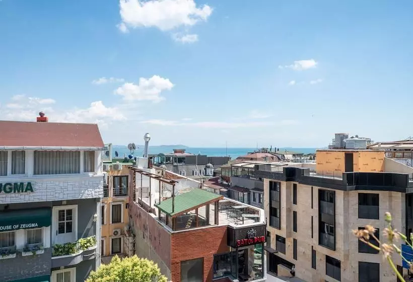 Fotos del hotel Villa Pasha:  5