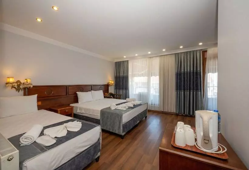 Fotos del hotel Villa Pasha:  9