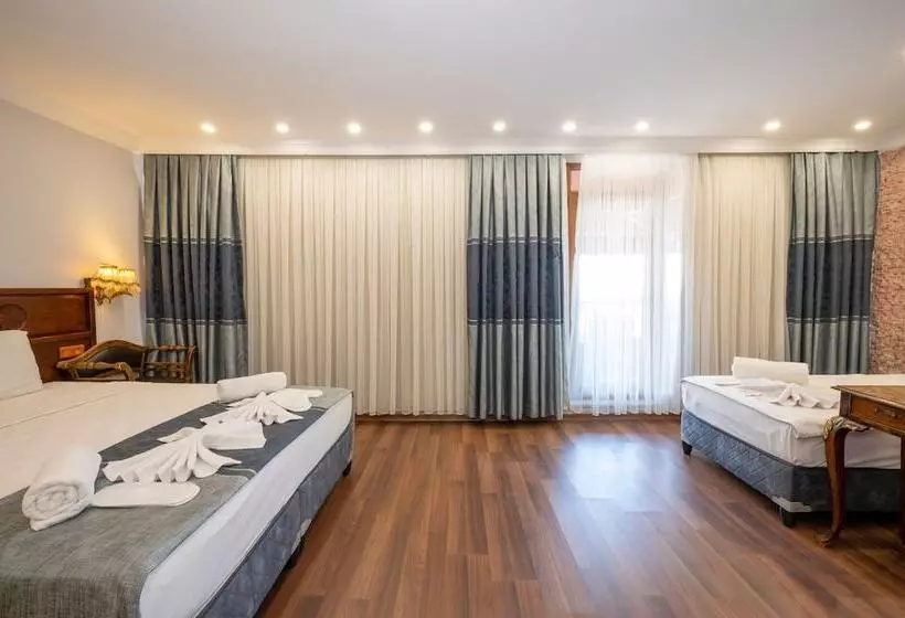 Fotos del hotel Villa Pasha:  12