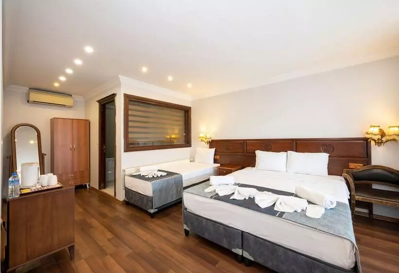 Fotos del hotel Villa Pasha:  17