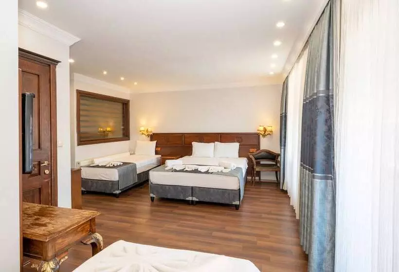 Fotos del hotel Villa Pasha:  14