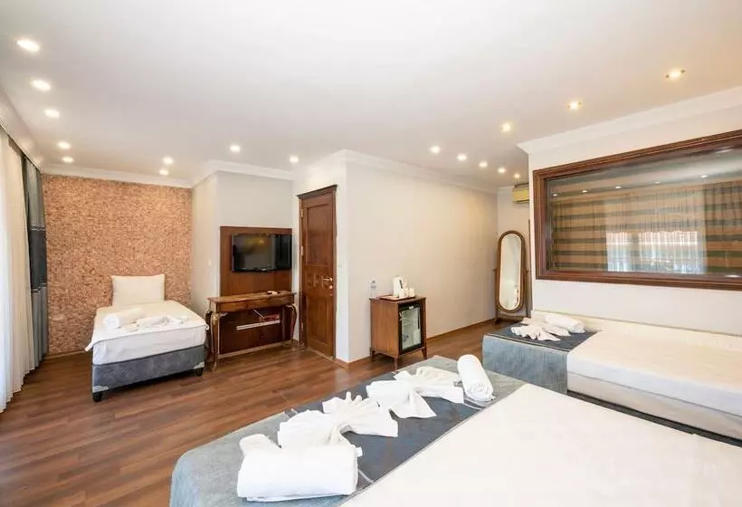 Fotos del hotel Villa Pasha:  24