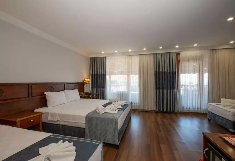 Fotos del hotel Villa Pasha:  15