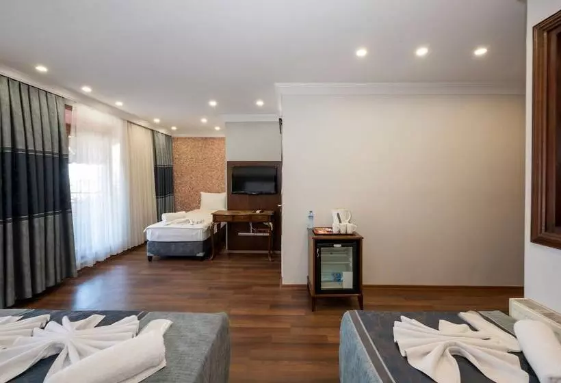 Fotos del hotel Villa Pasha:  25