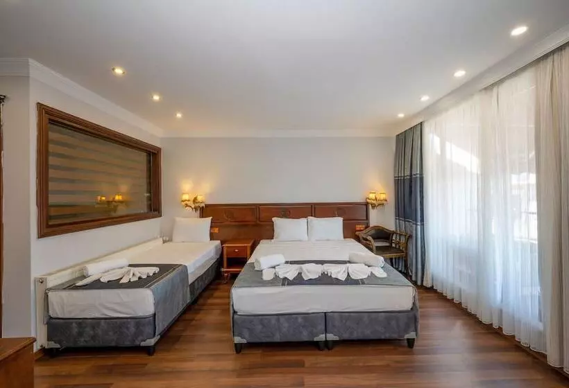 Fotos del hotel Villa Pasha:  16