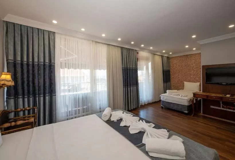 Fotos del hotel Villa Pasha:  13