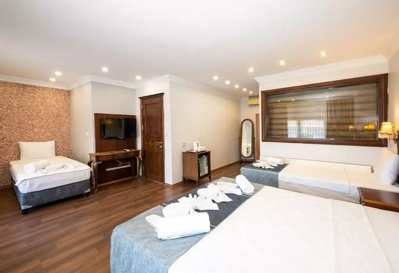 Fotos del hotel Villa Pasha:  18