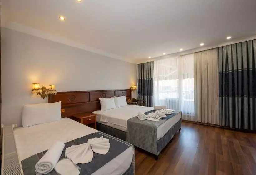 Fotos del hotel Villa Pasha:  20