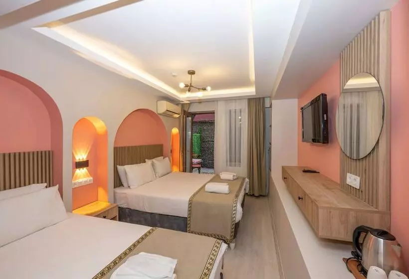 Fotos del hotel Villa Pasha:  21