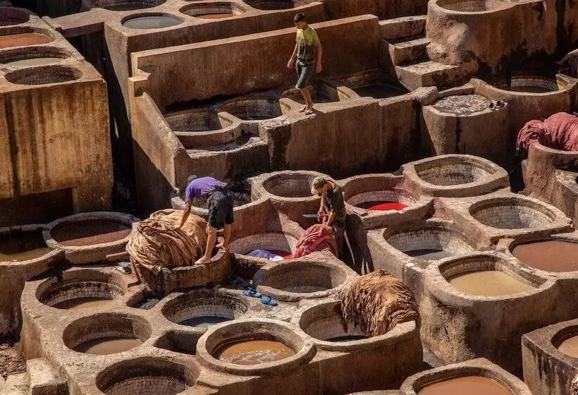 Fotos del hotel La Maison Maure:  21