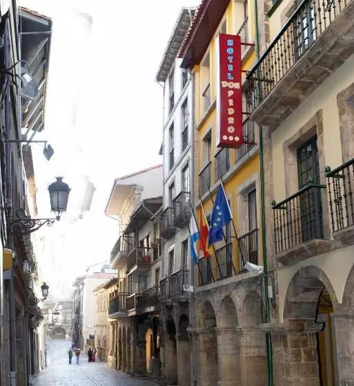 Fotos del hotel Don Pedro:  13