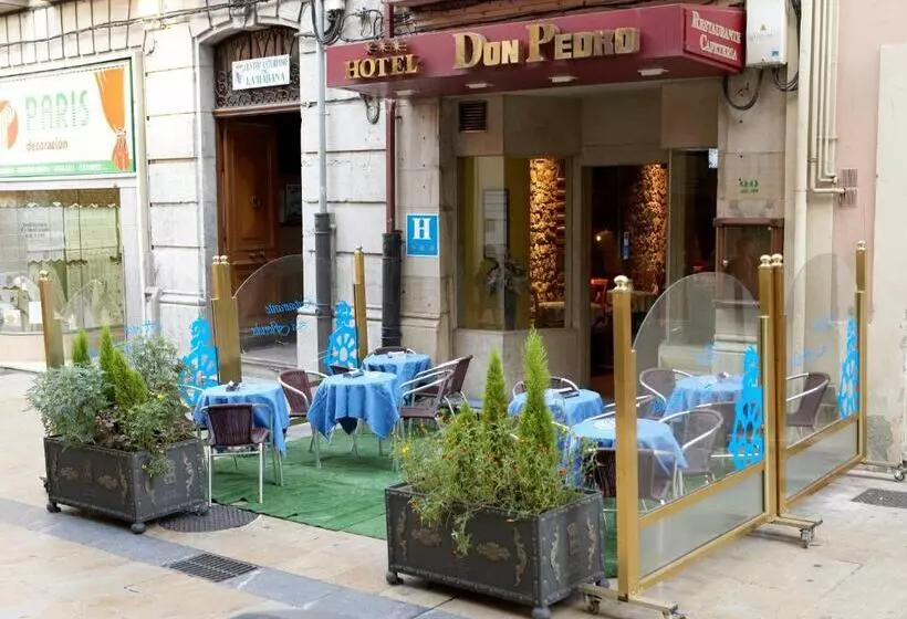 Fotos del hotel Don Pedro:  10