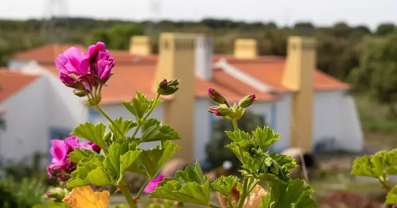 Fotos del hotel Monte Do Giestal  Casas De Campo And Spa:  6