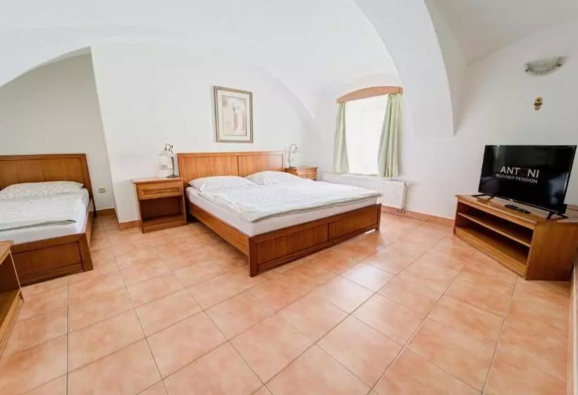 Fotos del hotel Rodinný Pension Antoni:  10