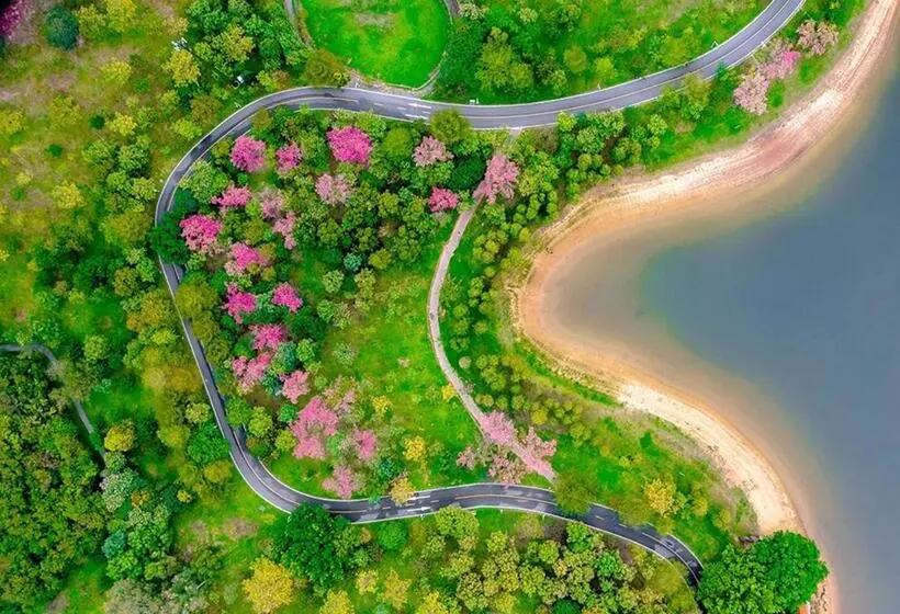 Fotos del hotel Royal Garden:  18