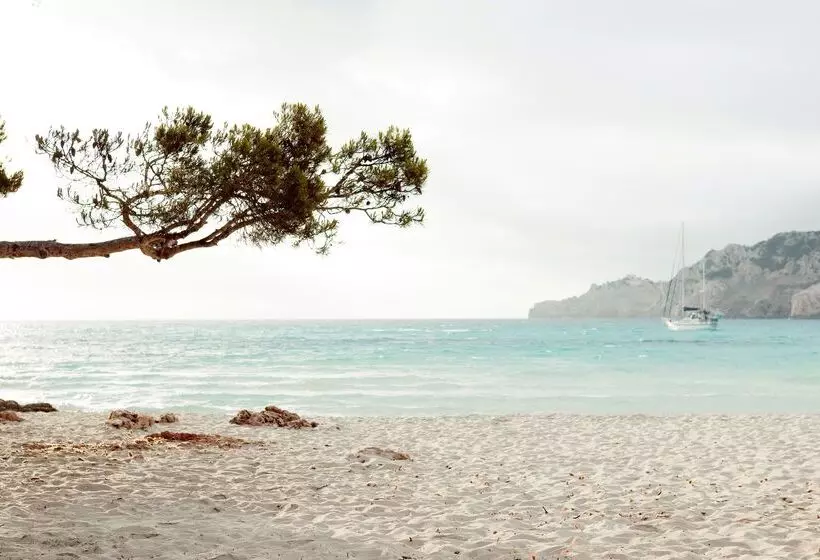 Fotos del hotel Predi Son Jaumell Hotel Rural:  8