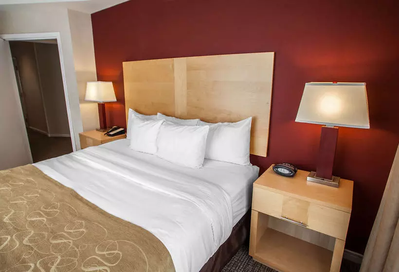 Fotos del hotel Comfort Suites Michigan Avenue - Loop:  19