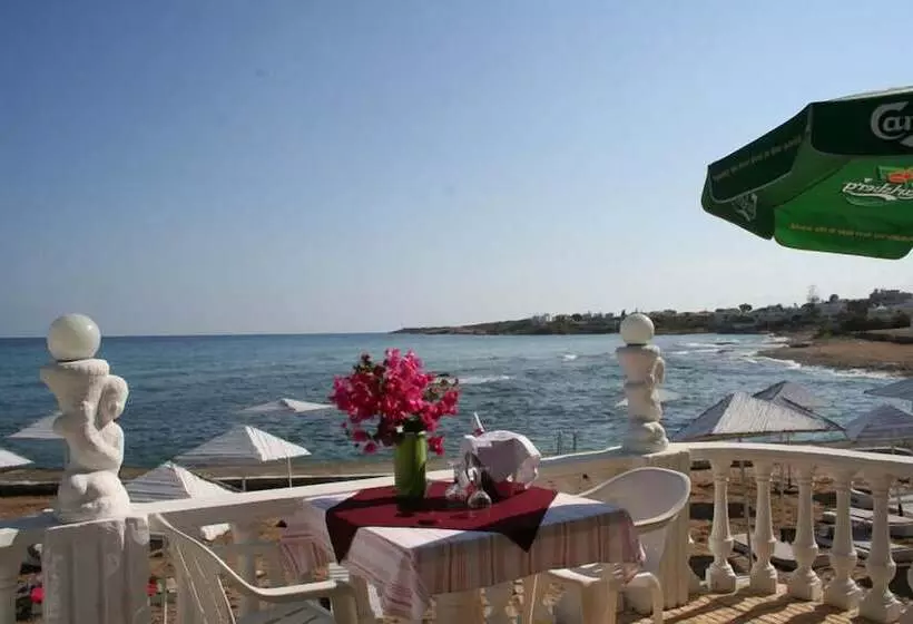 Fotos del hotel Topset:  8