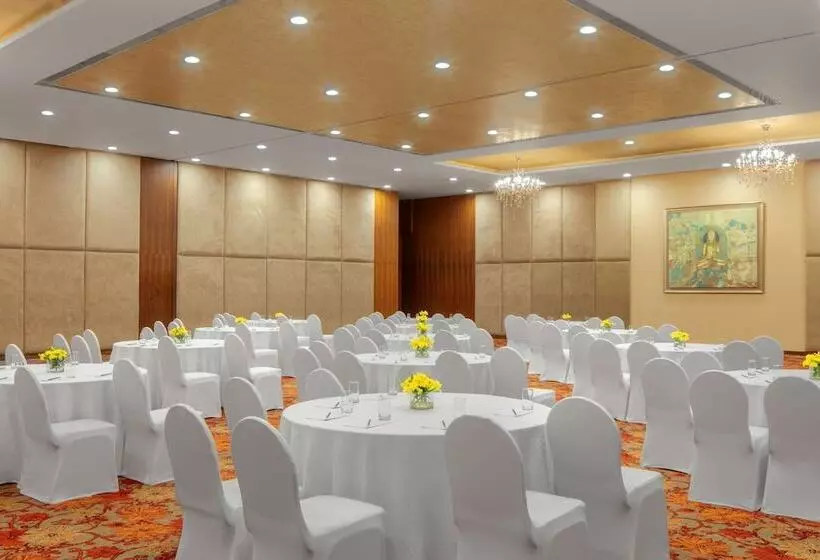 Fotos del hotel Radisson Blu Plaza  Hyderabad Banjara Hills:  24