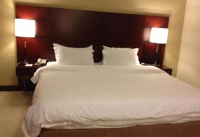 Fotos del hotel Gaya Centre:  9