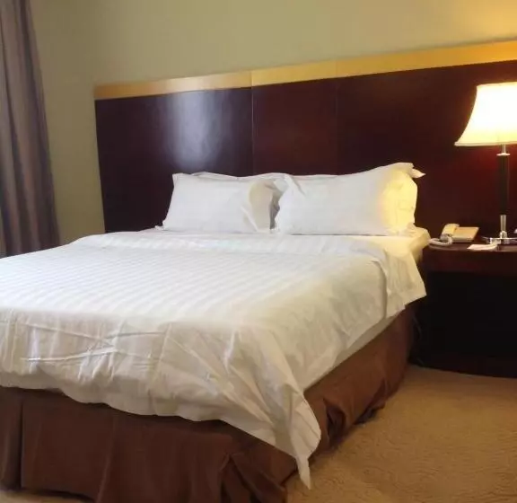 Fotos del hotel Gaya Centre:  21