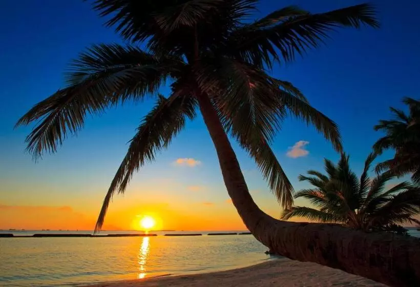 Fotos del hotel Kurumba Maldives:  11
