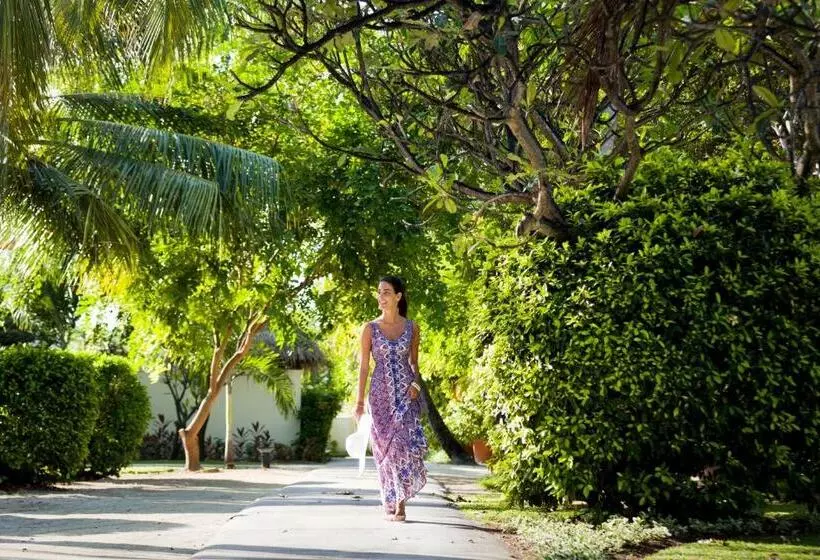 Fotos del hotel Kurumba Maldives:  25