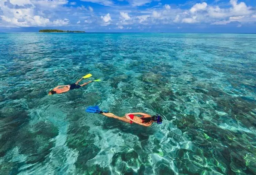 Fotos del hotel Kurumba Maldives:  18