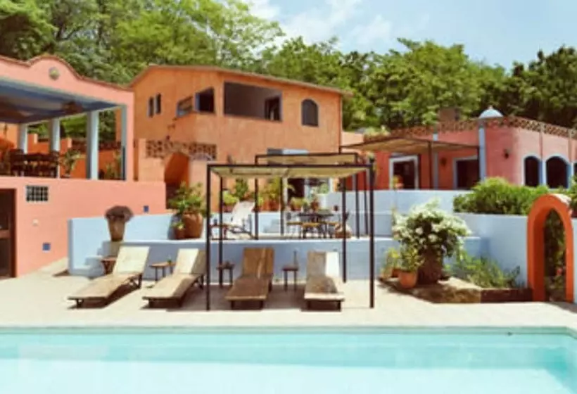 Fotos del hotel El Jardin:  5