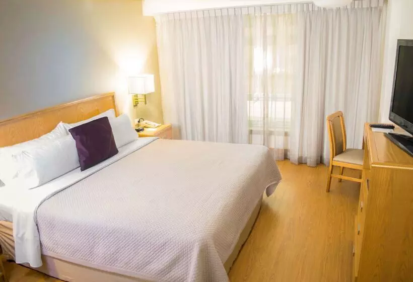 Istay Hotel Monterrey Histórico