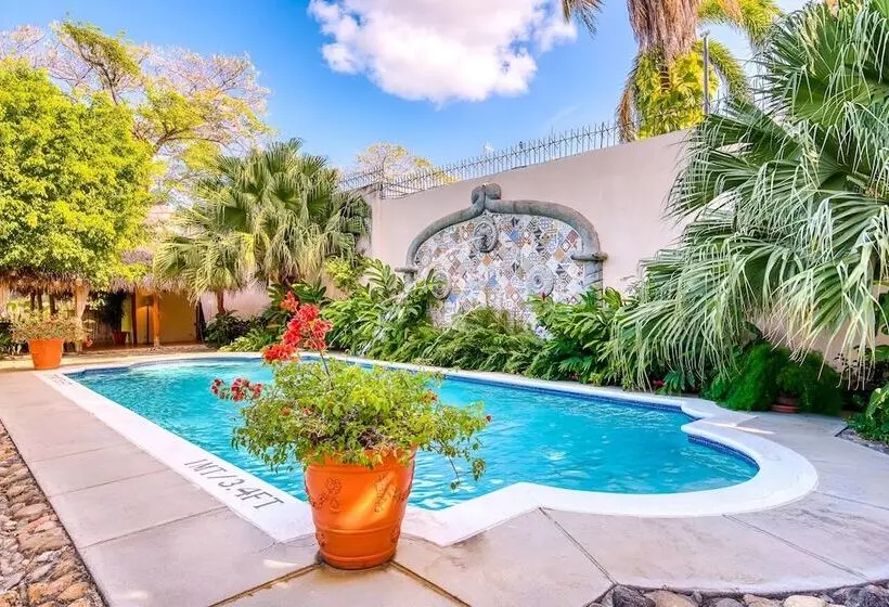 Fotos del hotel Hotel Los Robles:  2