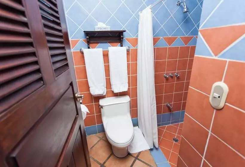 Fotos del hotel Hotel Los Robles:  14